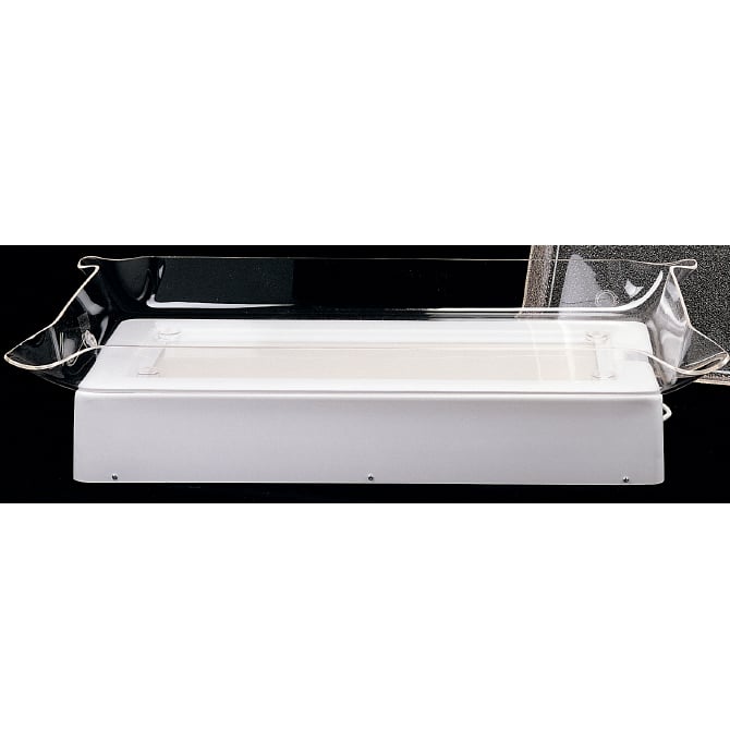 Glo-Ice acrylic buffet serving tray and illuminated display for catering 