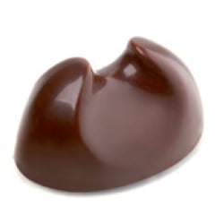 Antonio Bachour Bonbons Chocolate Mold - Toro - 21 forms