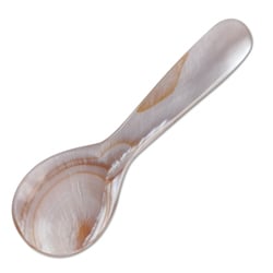 Brown Seashell Caviar Spoons- Set of Four