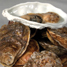 Oyster Dish - Shallow - 1.5oz